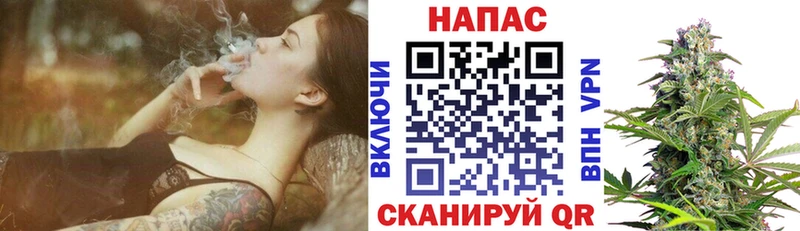 Купить где  Улан-Удэ  Конопля MAZAR 